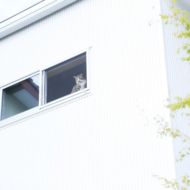 ご夫婦+お子さま2人+ご両親+お祖母さま+猫5匹 その3